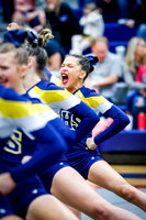 Airport Cheer Comp 2024