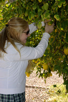 Heathers first lemon tree